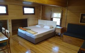 Retro & Wood